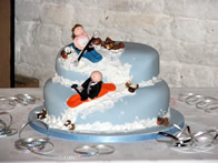 Wedding Cakes - Novelty